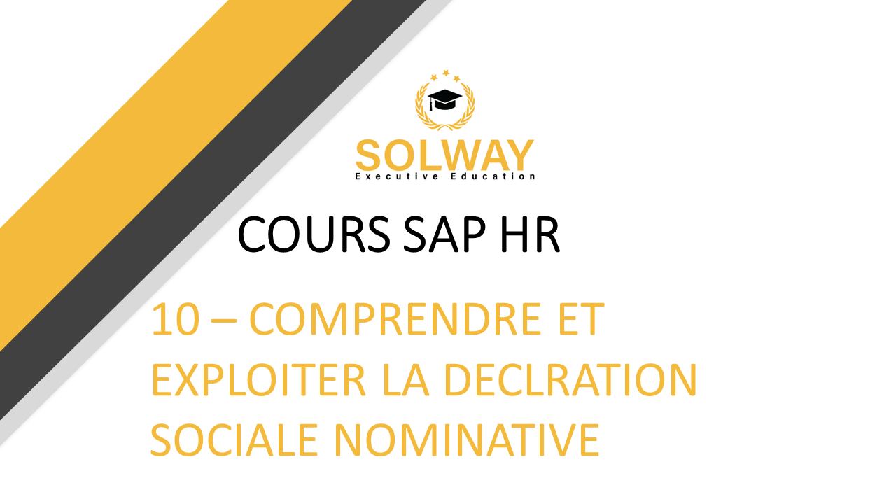 SAP HR - Comprendre et exploiter la DSN